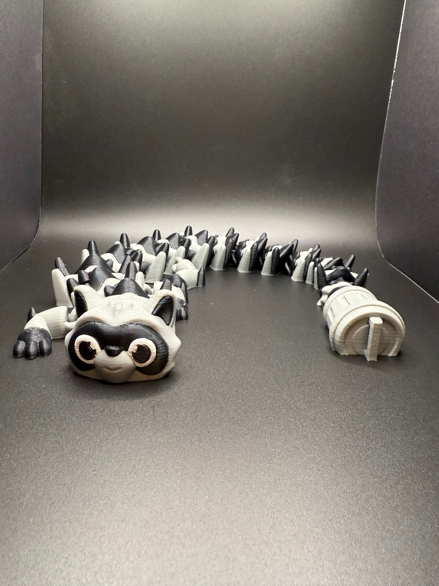 Raccoon Dragon