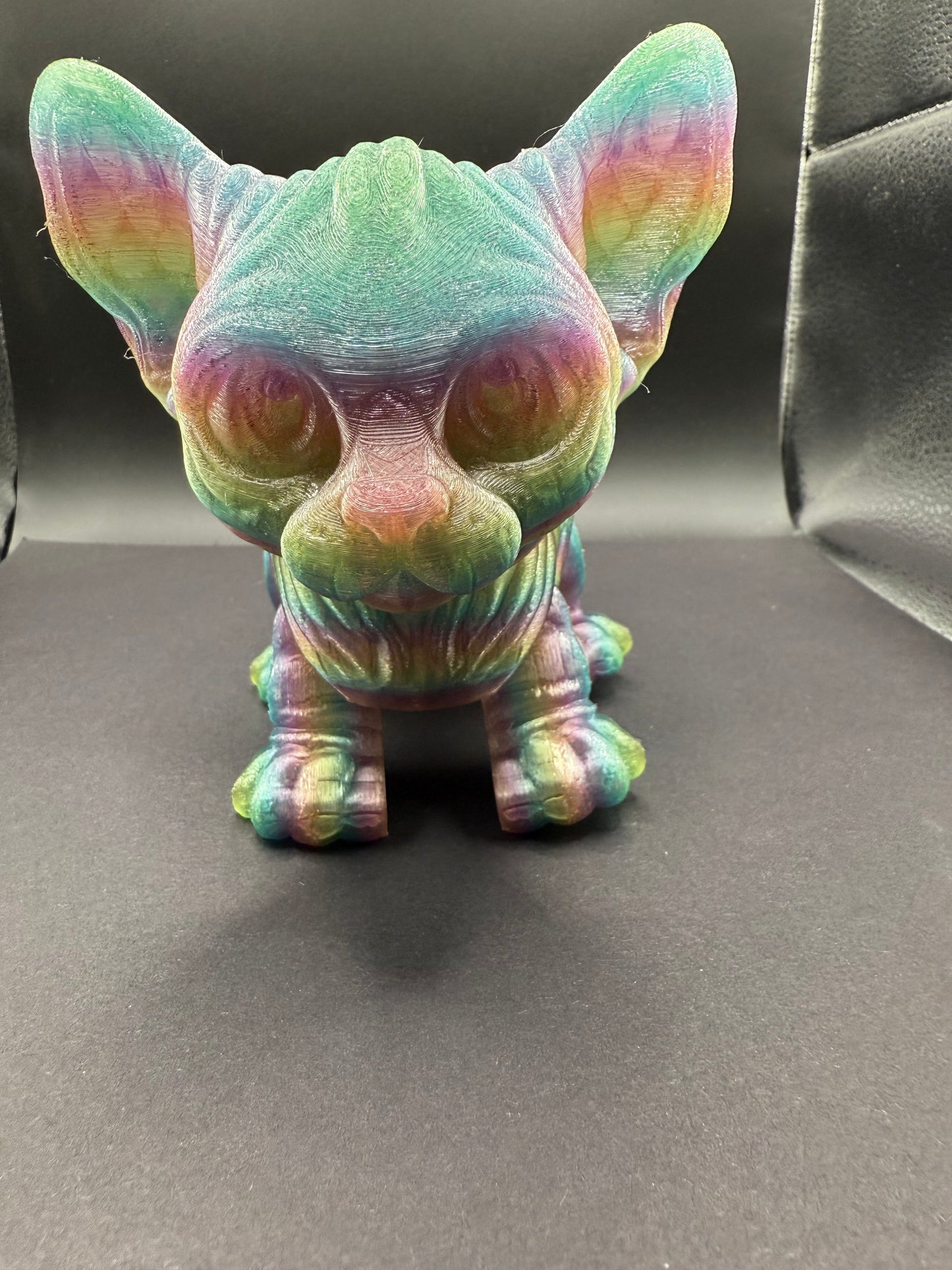 Sphynx Cat