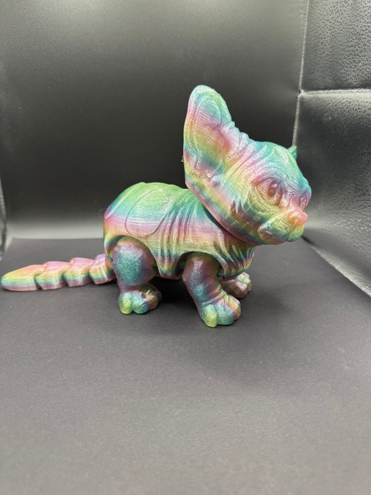 Sphynx Cat