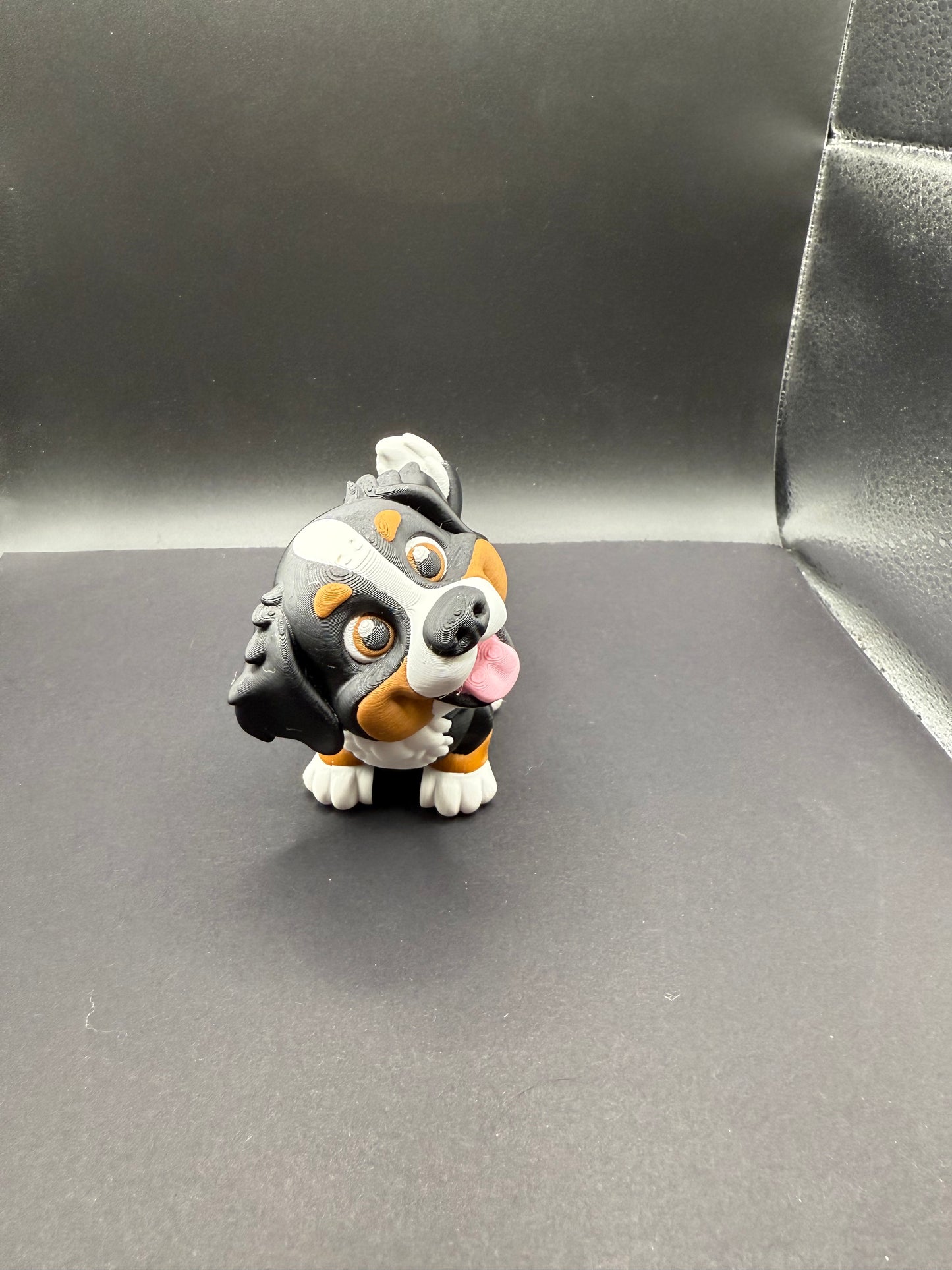 Bernese Mountain Dog