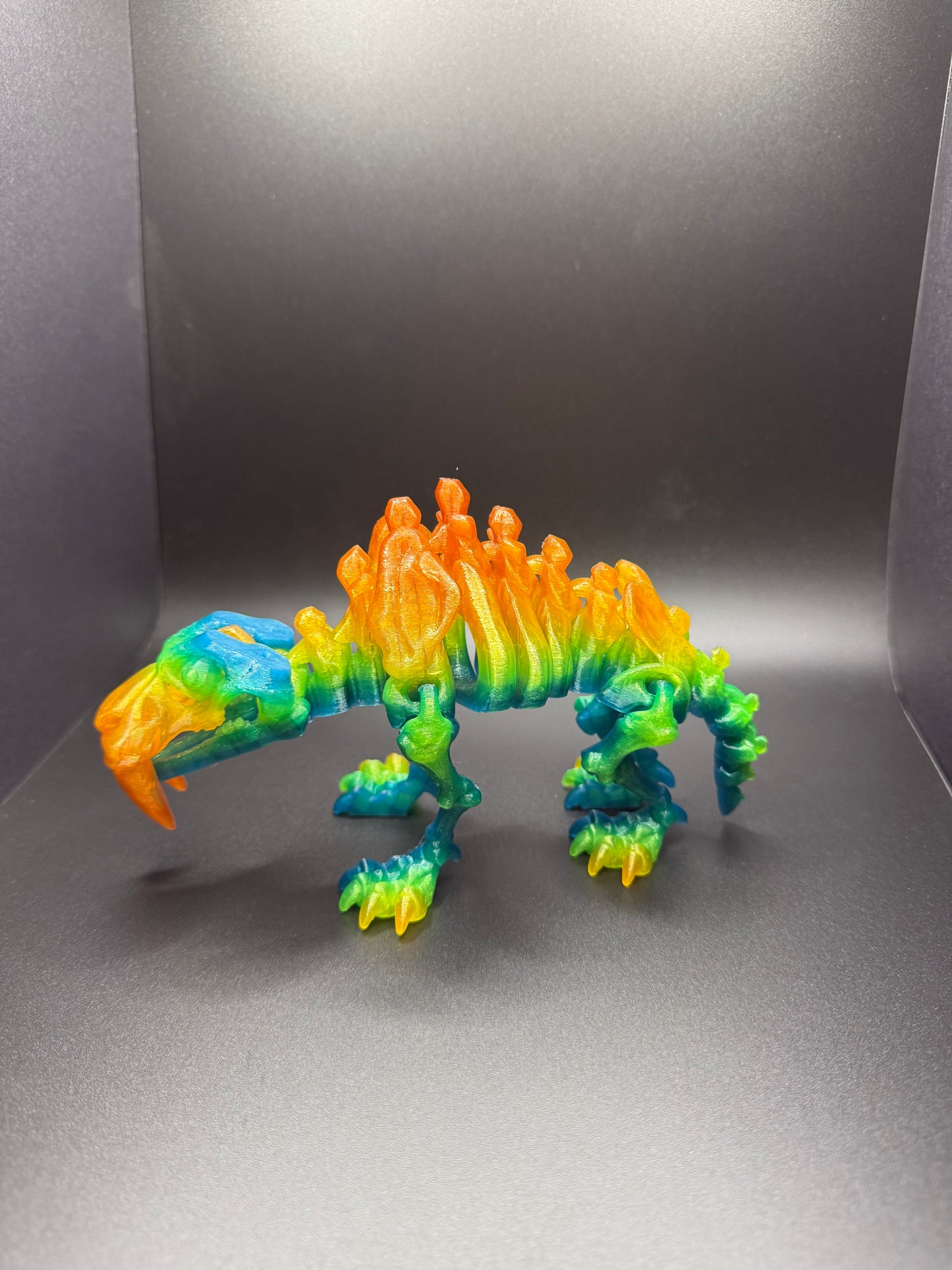 Saber Tooth Tiger Skeleton