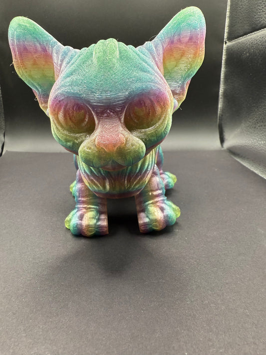 Sphynx Cat