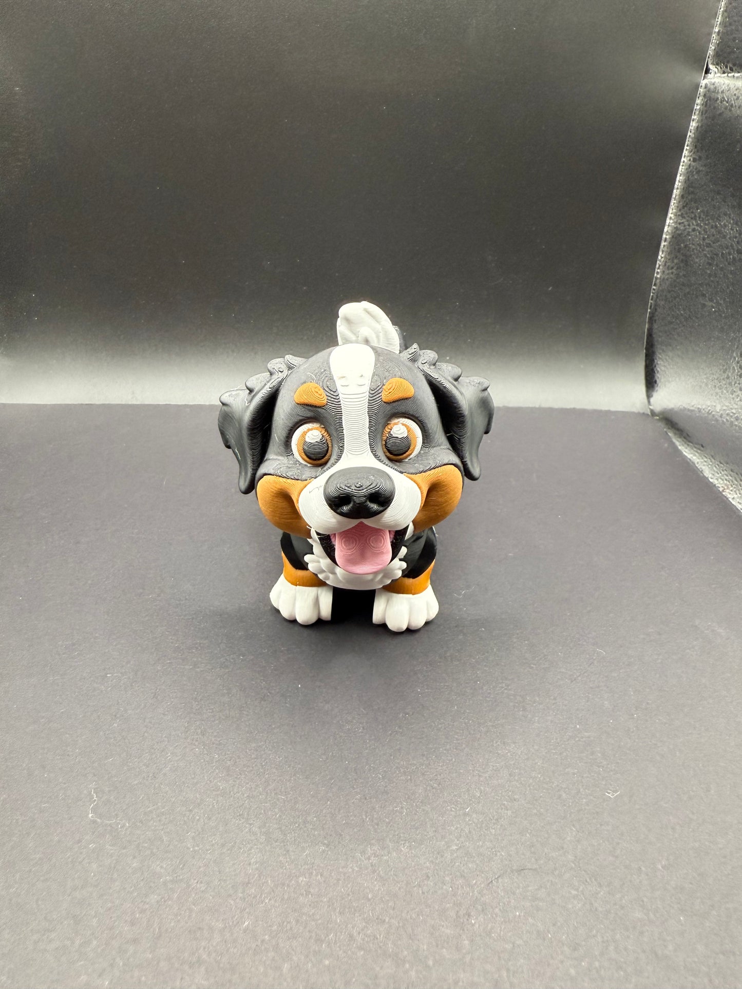 Bernese Mountain Dog